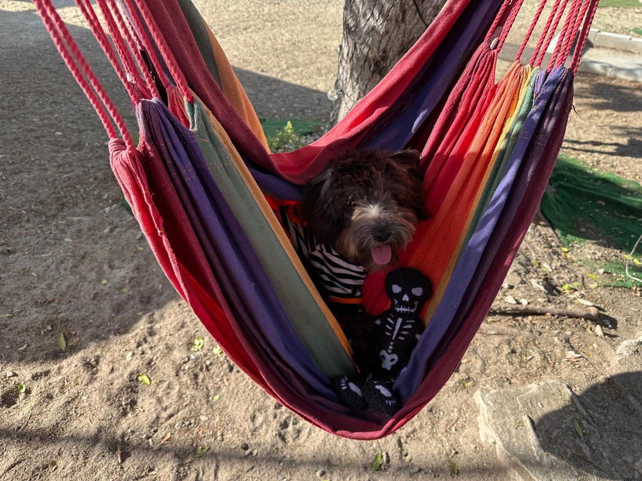 Bruno en hamaca